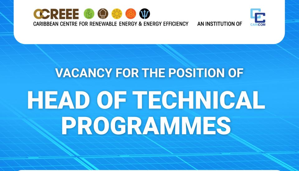 Image of Vacancy for the Position of Head of Technical Programmes