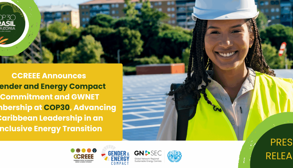 Image of CCREEE Announces Gender and Energy Compact Commitment and GWNET Membership at COP30
