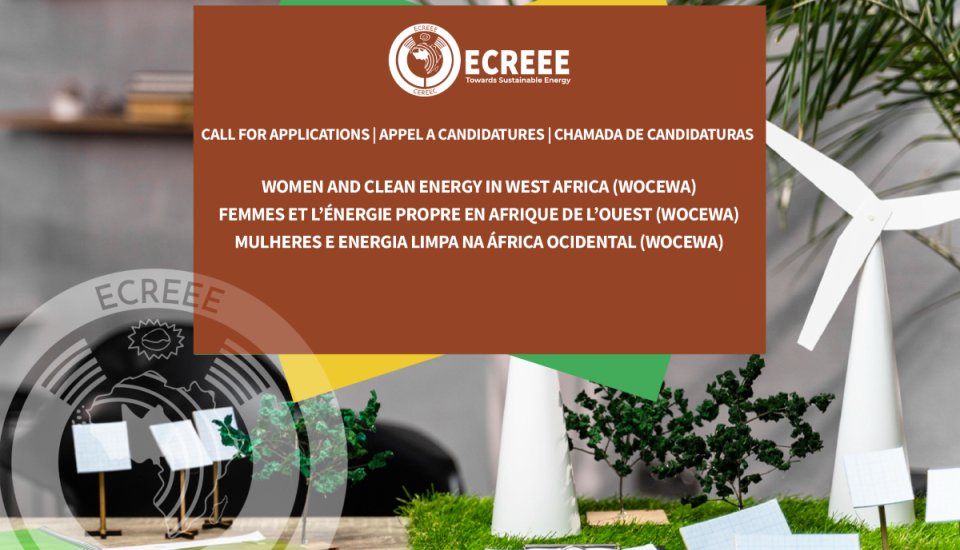 Image of ECREEE Participates in the 16th IRENA Assembly