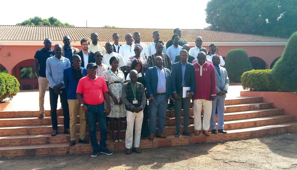 Image of Guinea-Bissau Validates Mini-Grid Study and Receives E-Tendering Platform Training