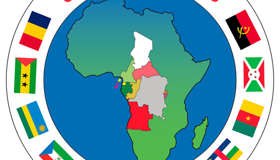 Image of Procurement Opportunity: Organization of the First Central Africa Renewable Energy Forum