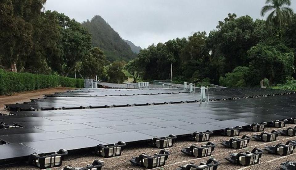 Image of The ‘Green Pacific’ Offers a Pathway to a Brighter Future