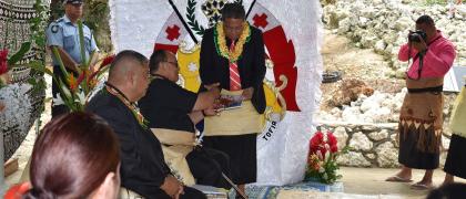 Image of Launching of the Tonga Energy Efficiency Master Plan & PacTVET Sustainable Energy Qualifications, 4 December 2020